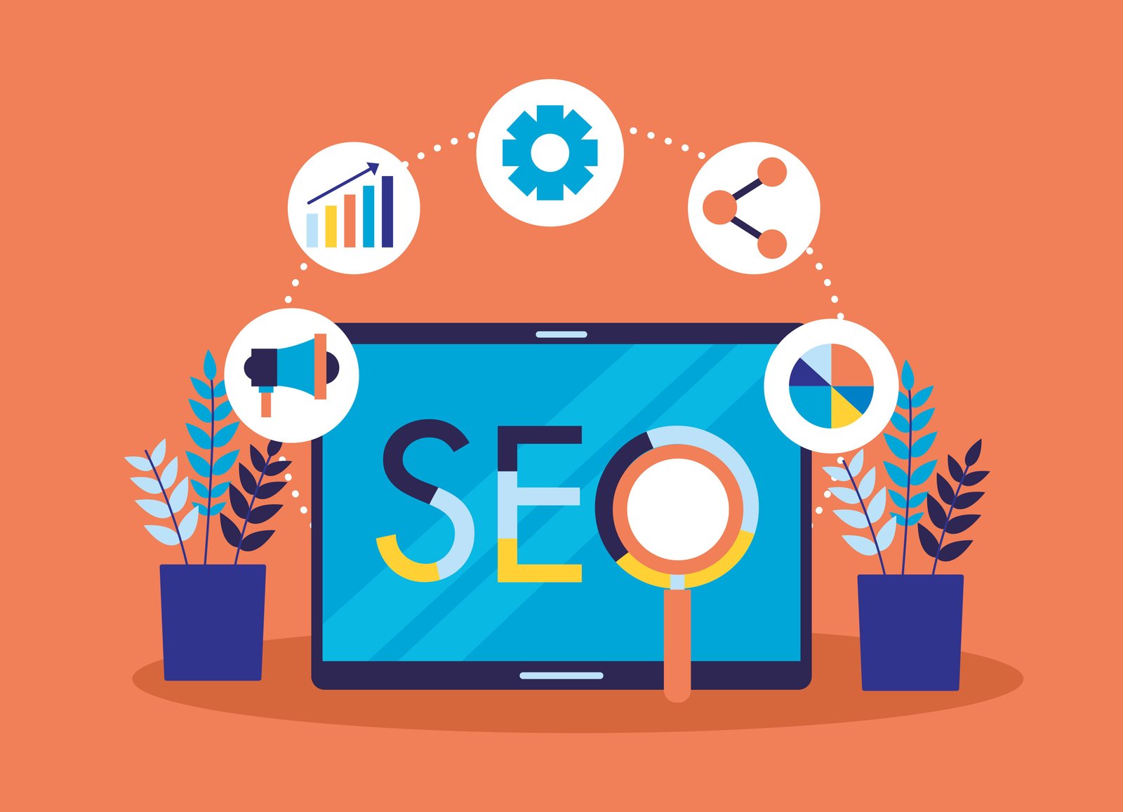 SEO & Local SEO
